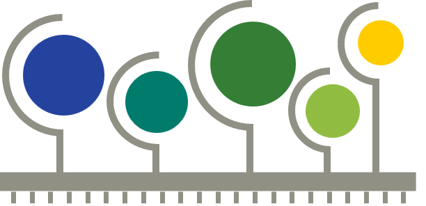 FCCF-CP_Logo.png