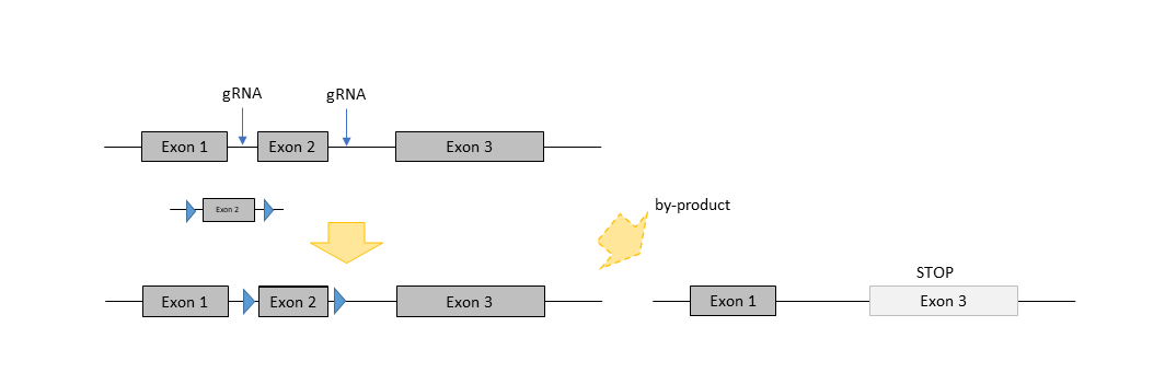 conditional KO 3.png