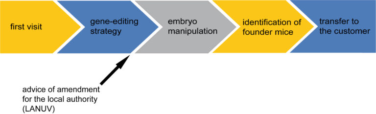 core_workflow-768x233.jpg