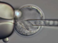 ES_InjectionSeq1.png