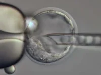ES_InjectionSeq1.png