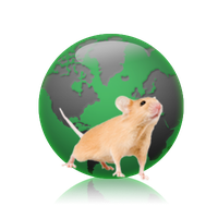 imsr-globe.png