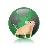 imsr-globe.png