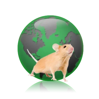 imsr-globe.png