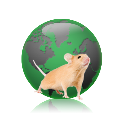 imsr-globe.png