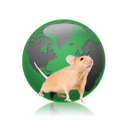imsr-globe.png