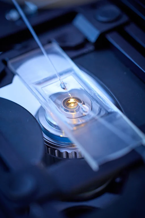 Injection Microscope_Volker Lannert.jpg