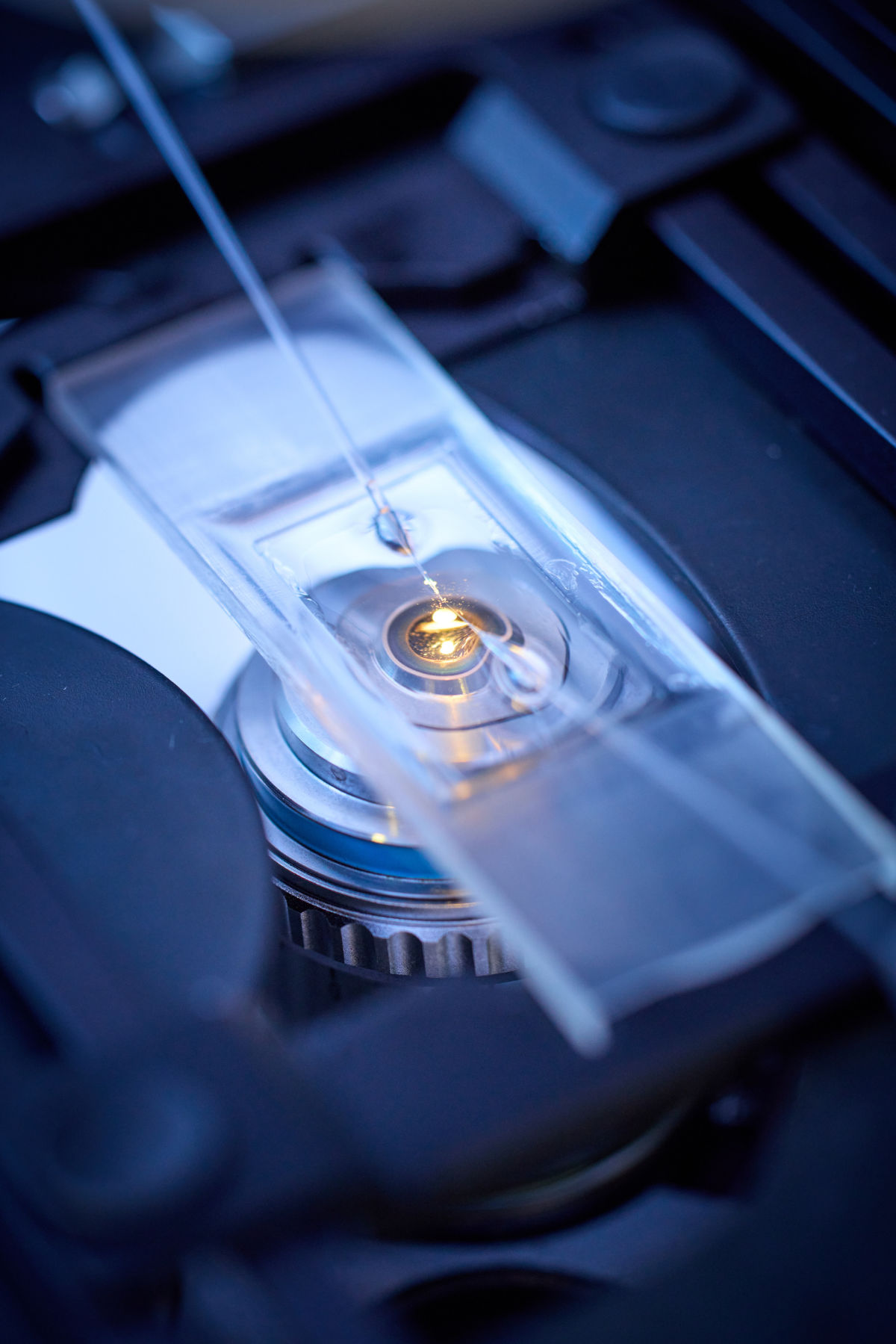 Injection Microscope_Volker Lannert.jpg
