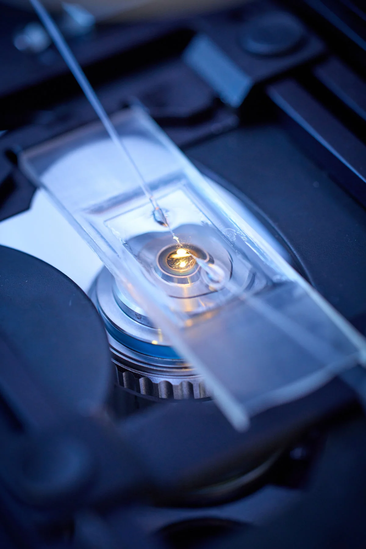 Injection Microscope_Volker Lannert.jpg