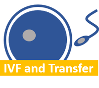 IVF_Stephan Sonntag.png