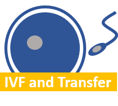 IVF_Stephan Sonntag.png