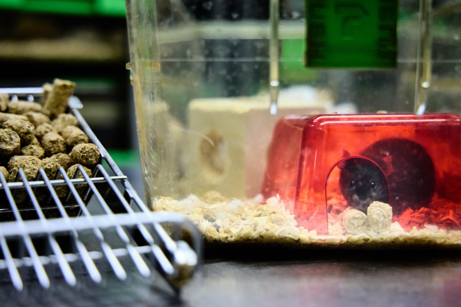 Eine Wissenschaftlerin und ein Wissenschaftler arbeiten hinter einer Glasfassade und mischen Chemikalien mit Großgeräten.