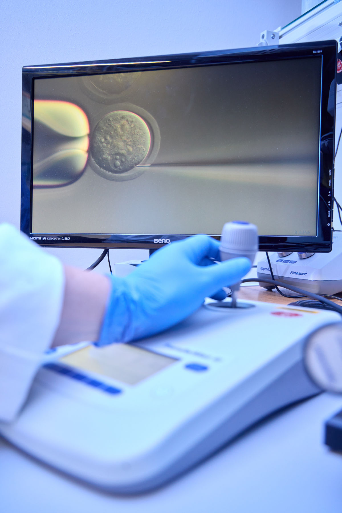 Microinjection_Volker Lannert.jpg