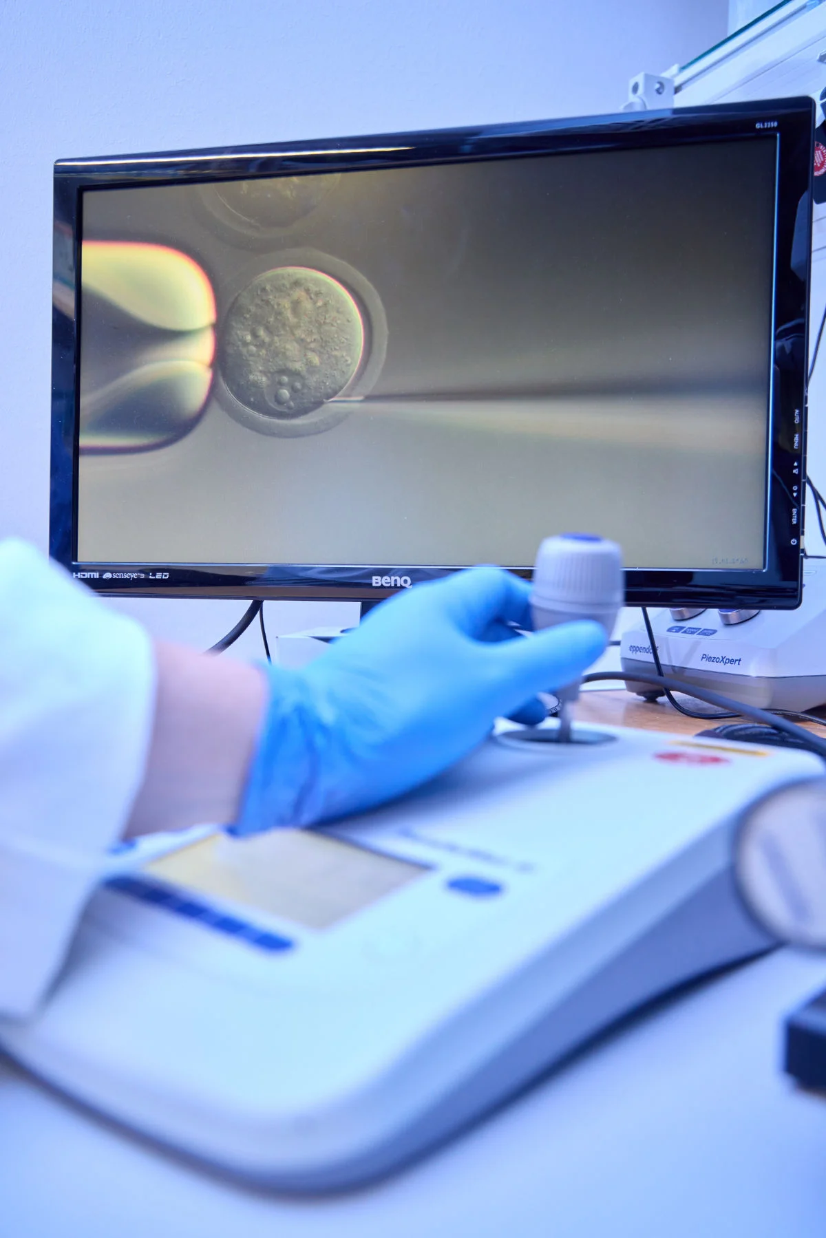 Microinjection_Volker Lannert.jpg