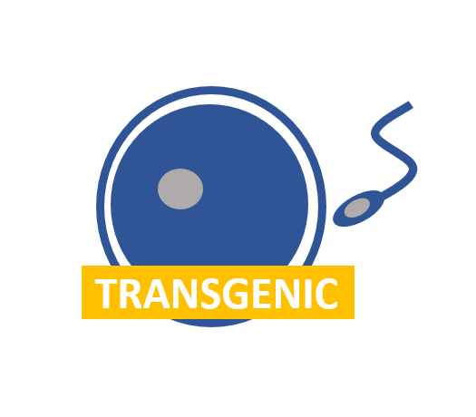 Transgenic_new.png