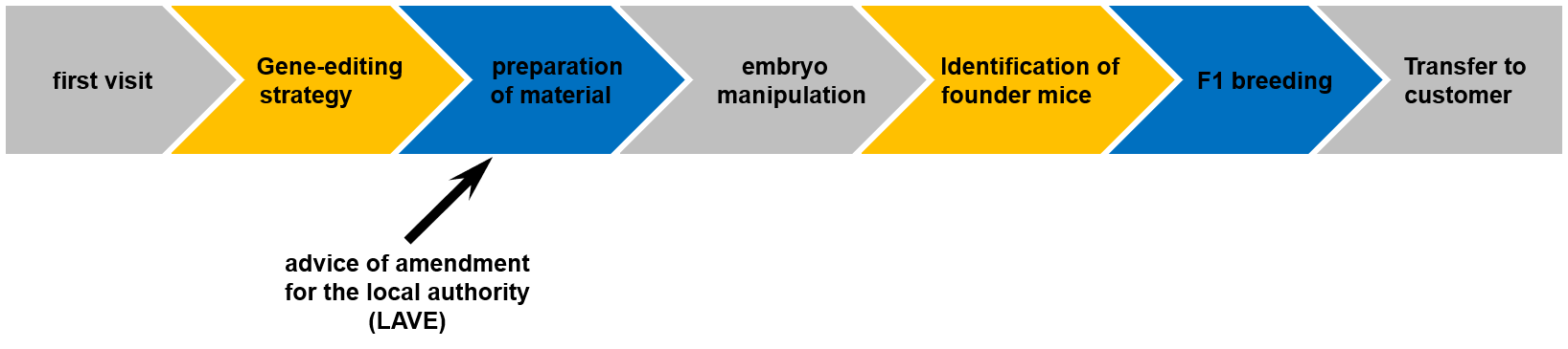 workflow2.png
