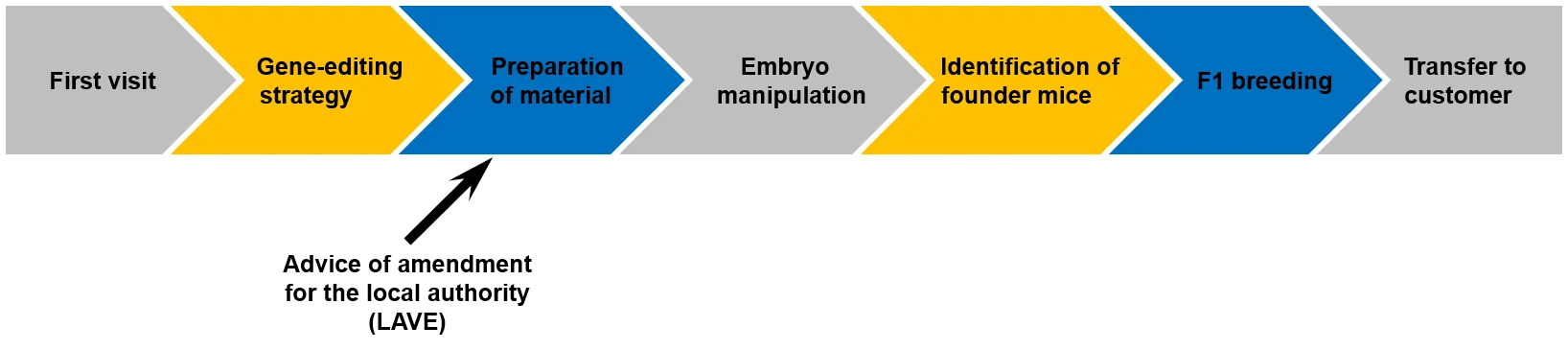 workflow3.png
