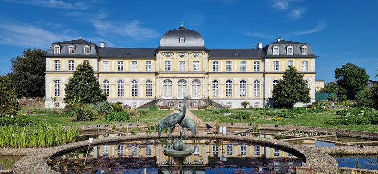 Faculty of Mathematics and Natural Sciences